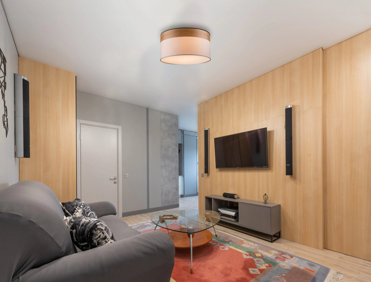 Mise en ambiance du plafonnier allumé dans un salon au mobilier moderne