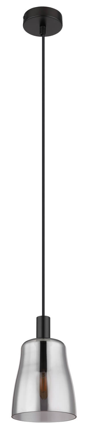 Suspension noire mat éteinte avec abat-jour en verre fumé et câble apparent.