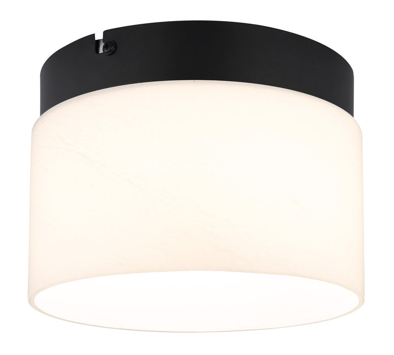 Plafonnier Trenton noir mat