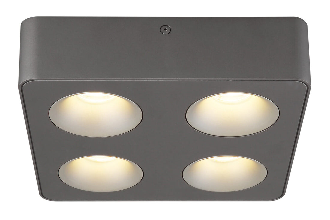 Spot LED | Hangarau L 22,4 cm