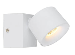 Spot LED | Rae Blanc