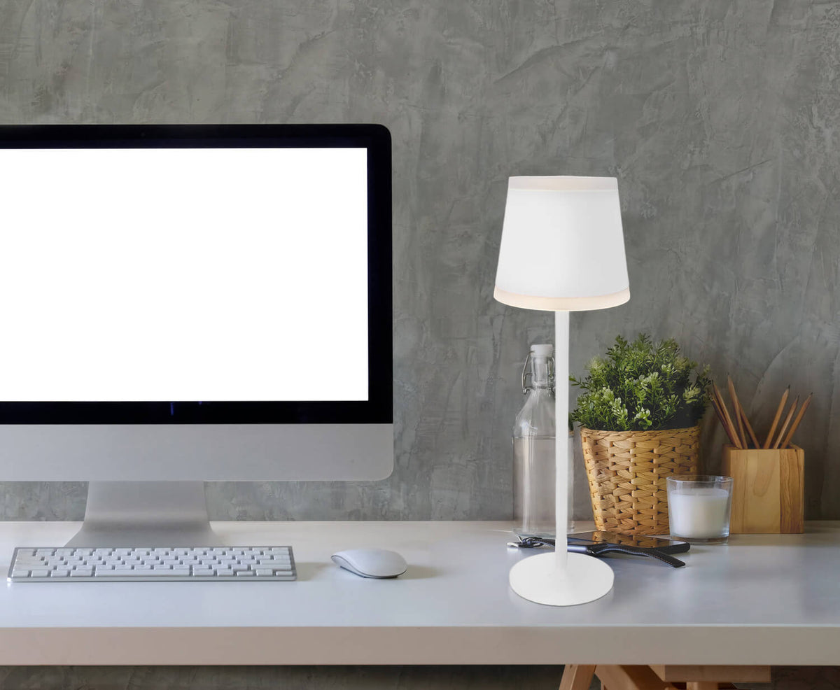 Mise en ambiance sur un bureau, près d'un ordinateur et d'une plante verte