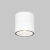 Spin White Luminaire
