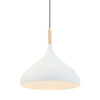 Bjorr White Countryside Pendant Light