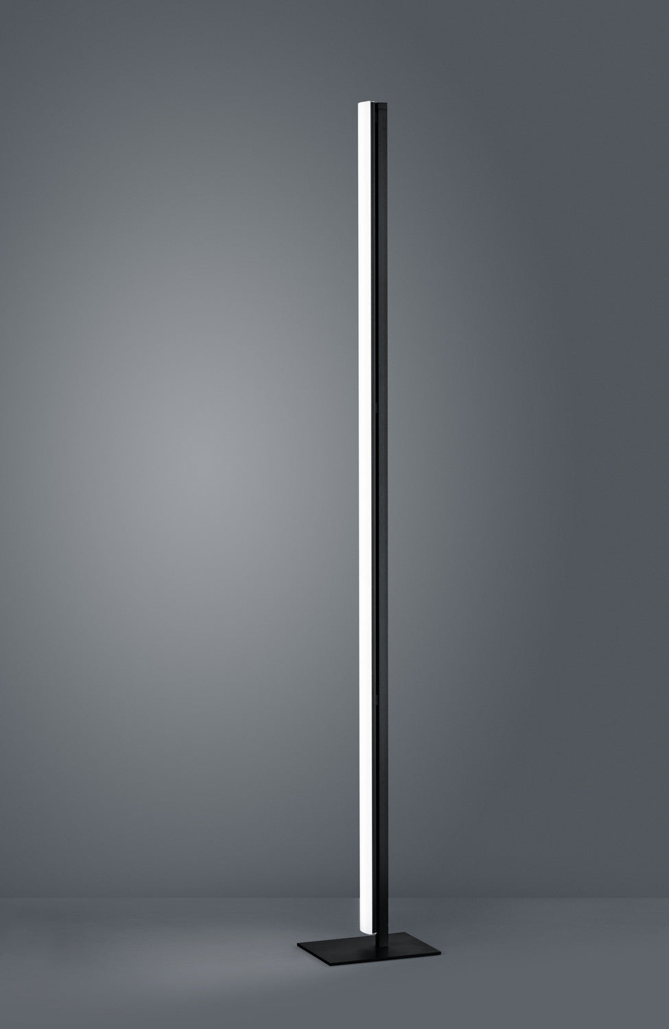 Lampadaire salon | Venta Noir