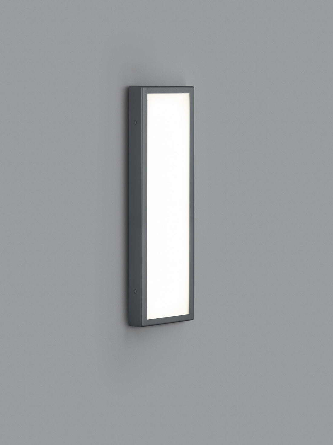 Luminaire extérieur | Scala Anthracite