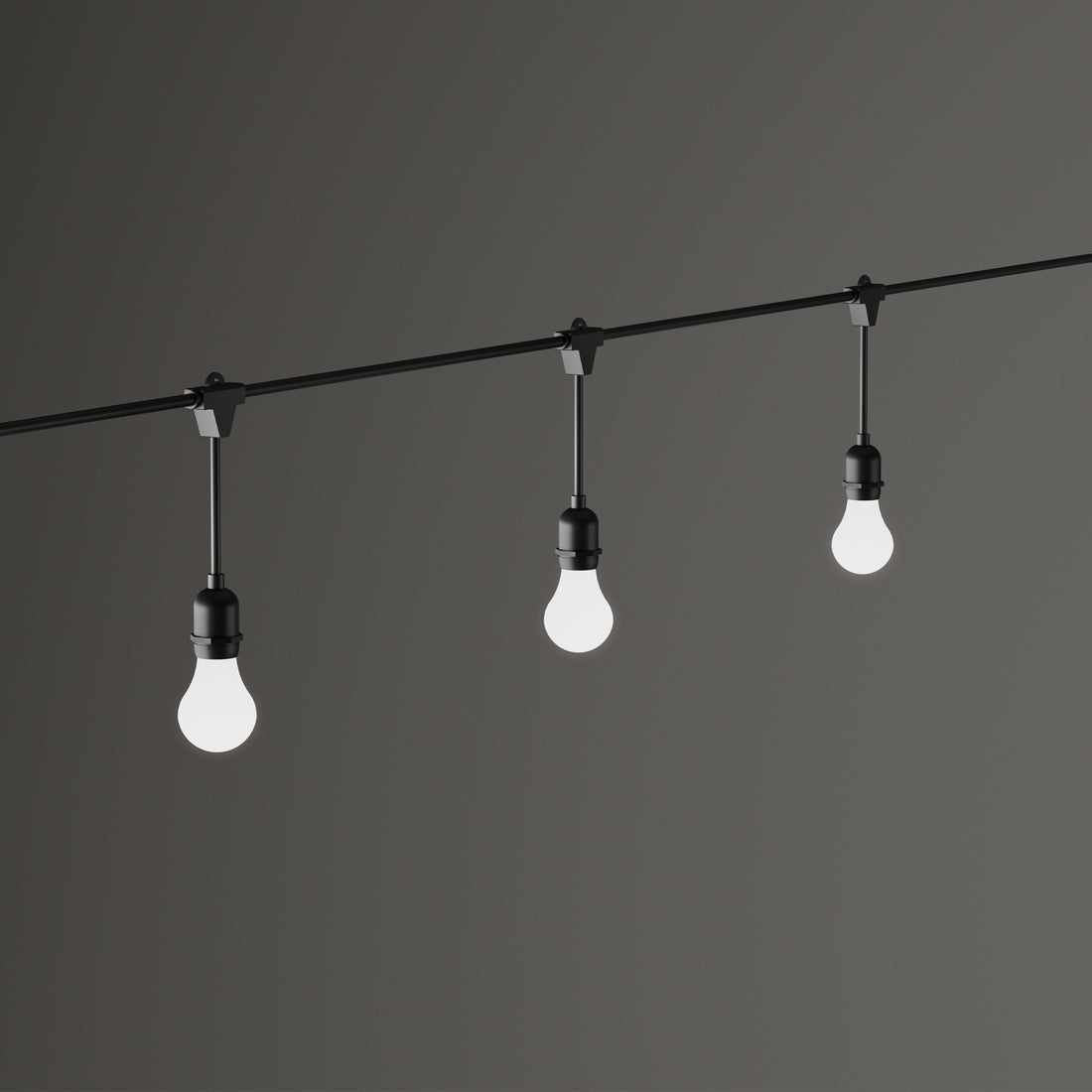 Guirlande lumineuse | Fiesta Noire
