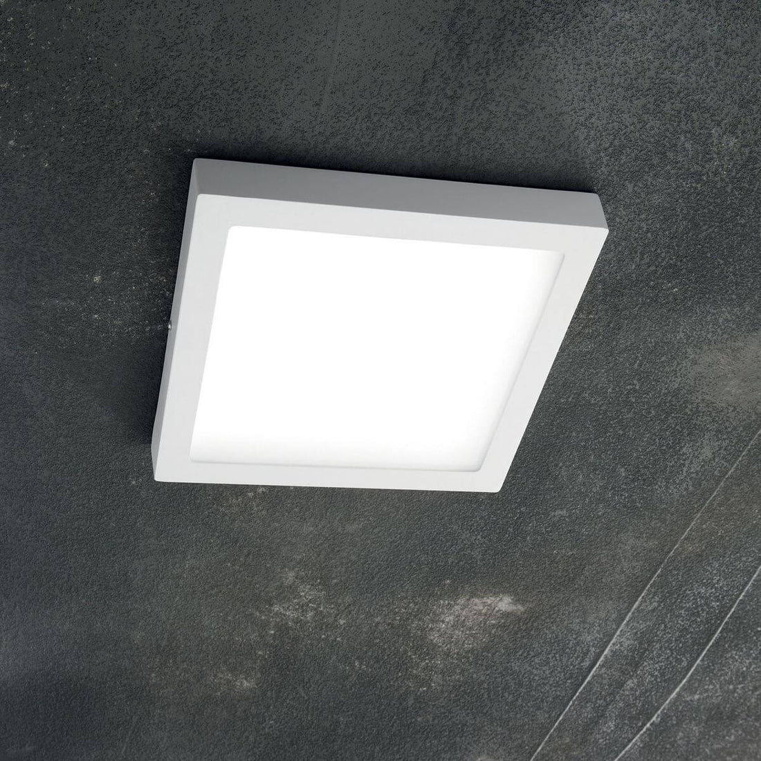 Plafonnier Universal blanc, L 30 cm (138657)