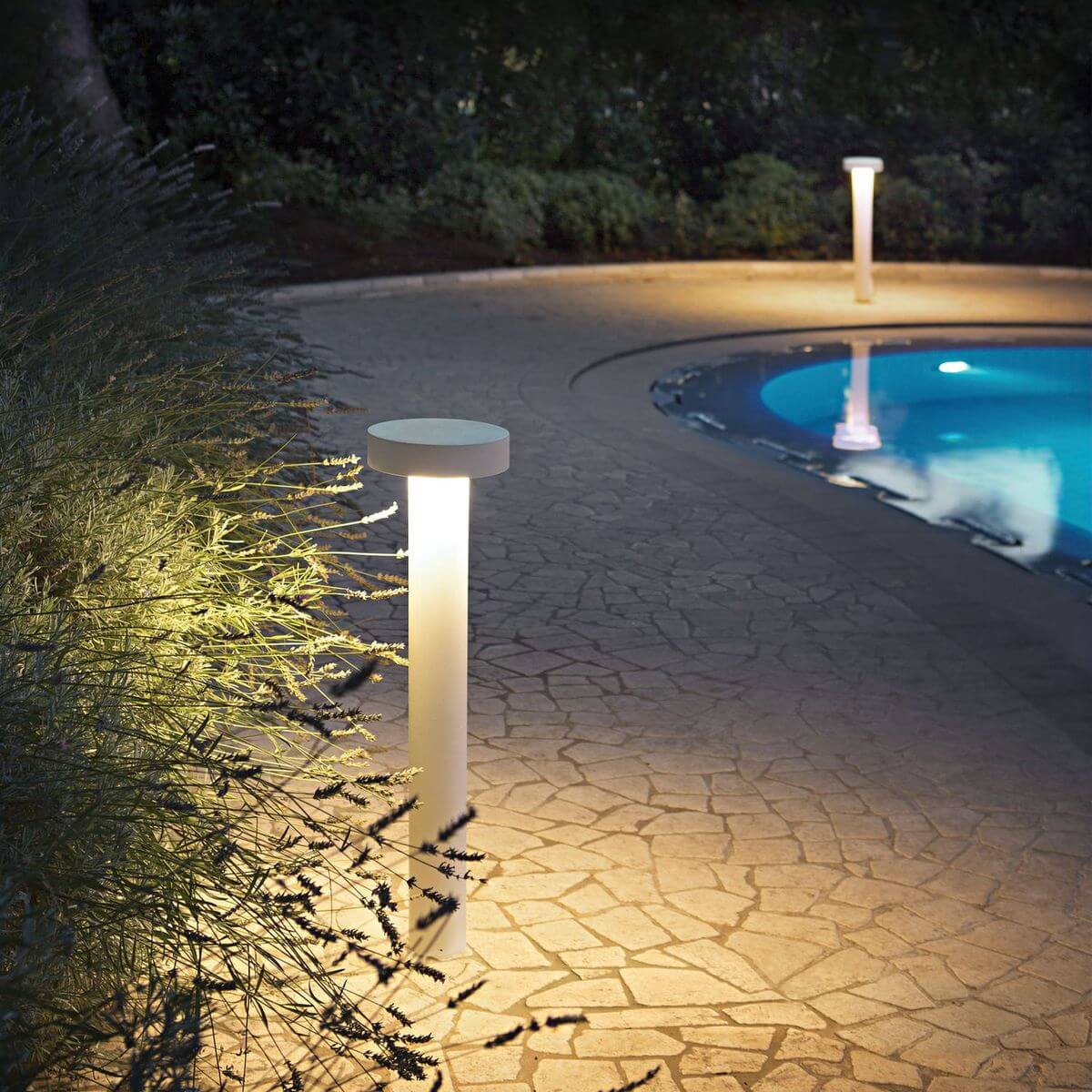 Mise en ambiance nocturne près d’une piscine, luminaire éclairant le sol et les plantes.