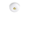 Luminaire plafonnier | Arizona