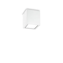 Plafonnier extérieur Techo blanc, verre, L 9 cm