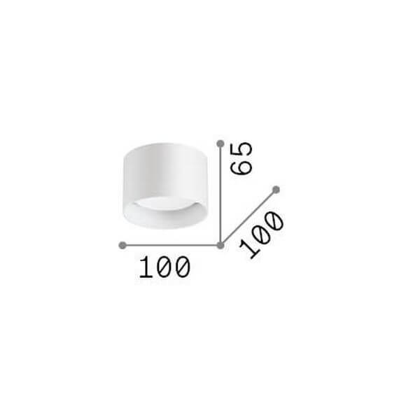 Schéma de dimensions du plafonnier : diamètre 100 mm et hauteur 65 mm