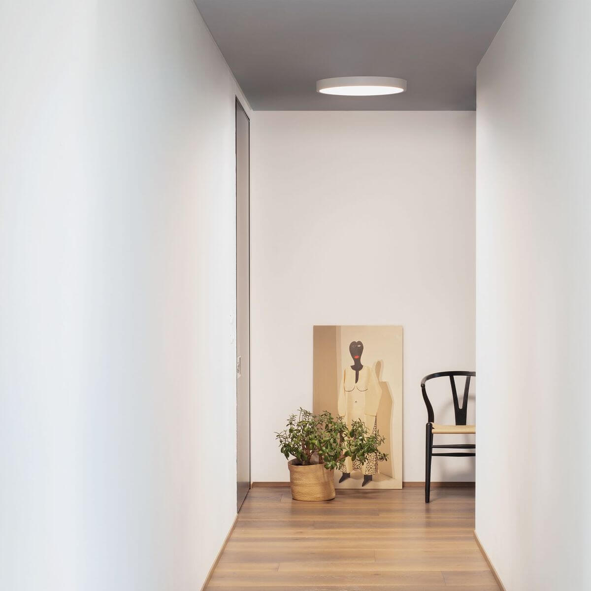 Couloir blanc éclairé par le plafonnier rond, plante et tableau au sol