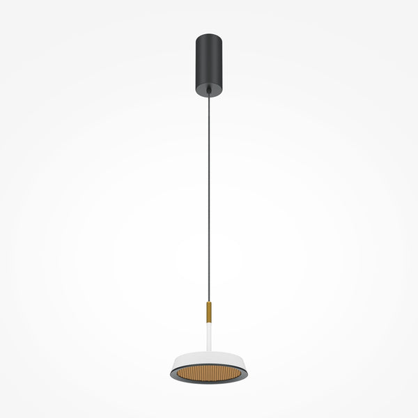 Black pendant light