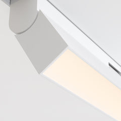 Basis Red White Spot