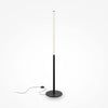 Ray Black Floor Lamp