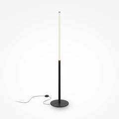 Ray Black Floor Lamp
