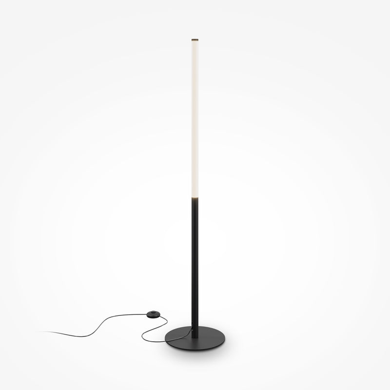 Ray Black Floor Lamp