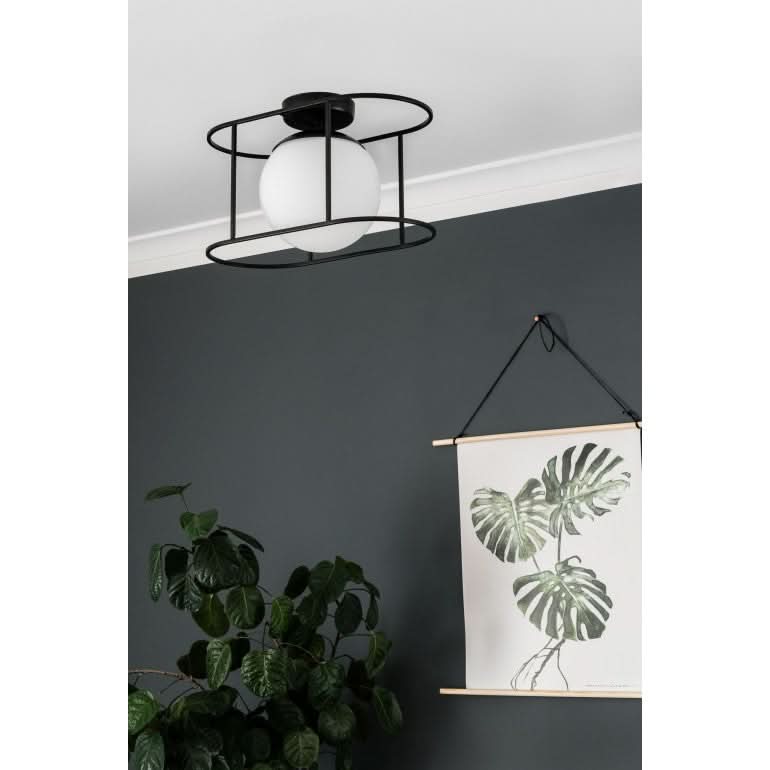 Mise en ambiance dans une pièce sombre, mur anthracite et plante verte