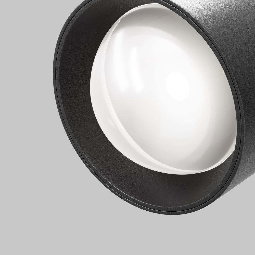 Lens Spot noir