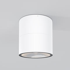 Spin White Light Fixture