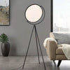 Original Floor Lamp | Artistic Radiance
