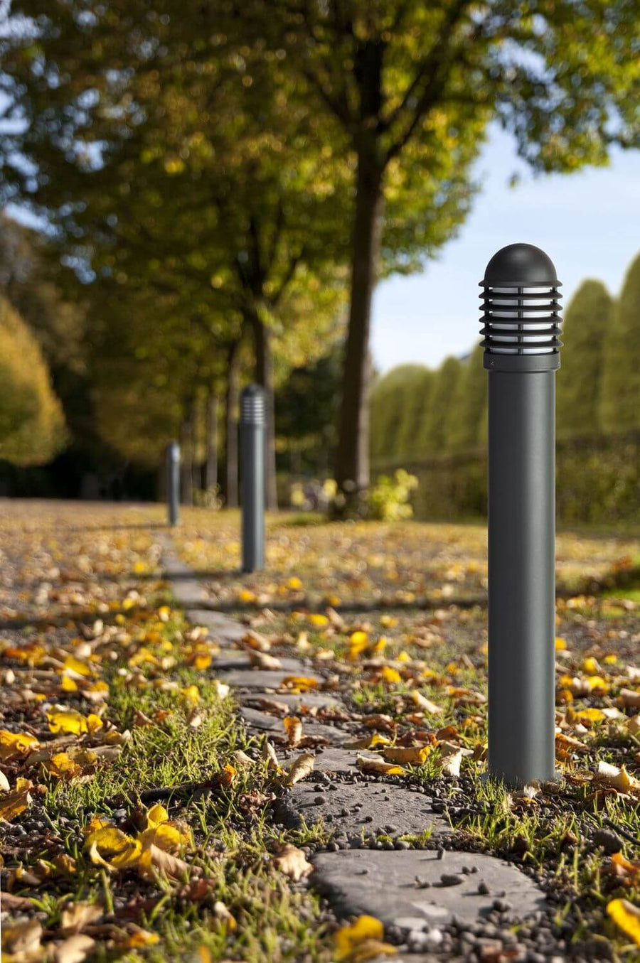 Plusieurs bornes anthracite alignées le long d'un chemin couvert de feuilles jaunes.