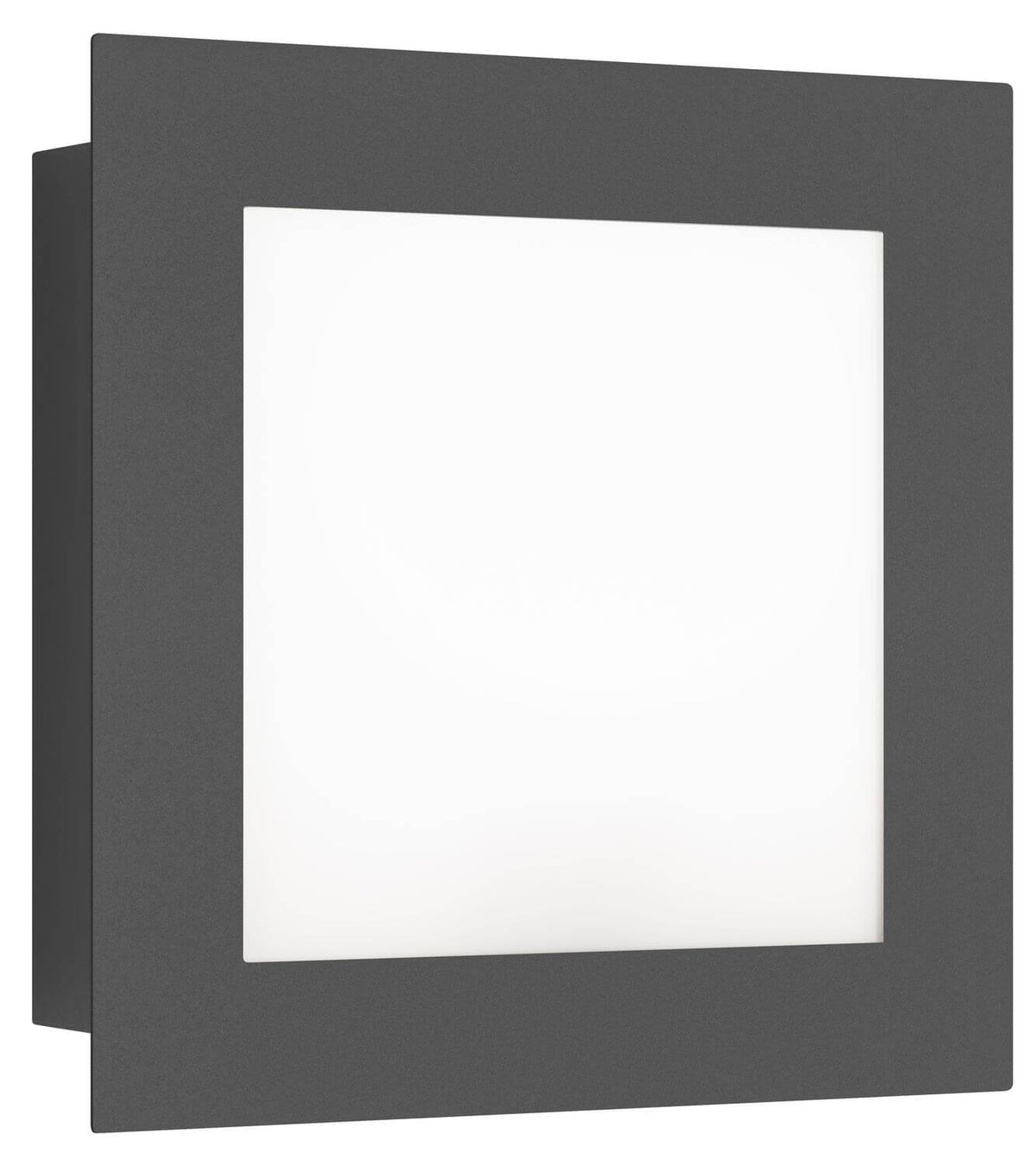Applique extérieure Graphit anthracite (3007LED)