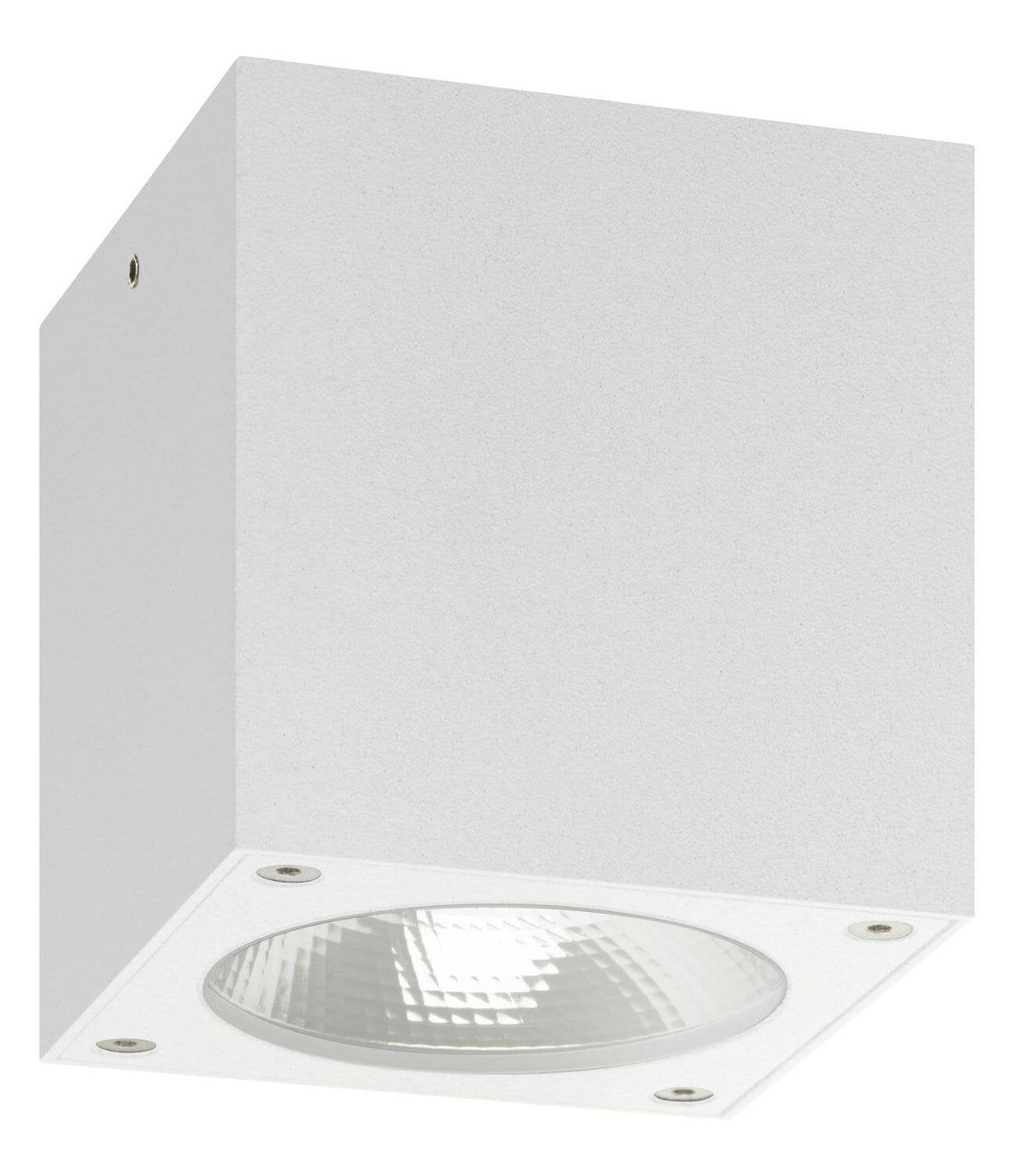 Plafonnier extérieur blanc (5029)