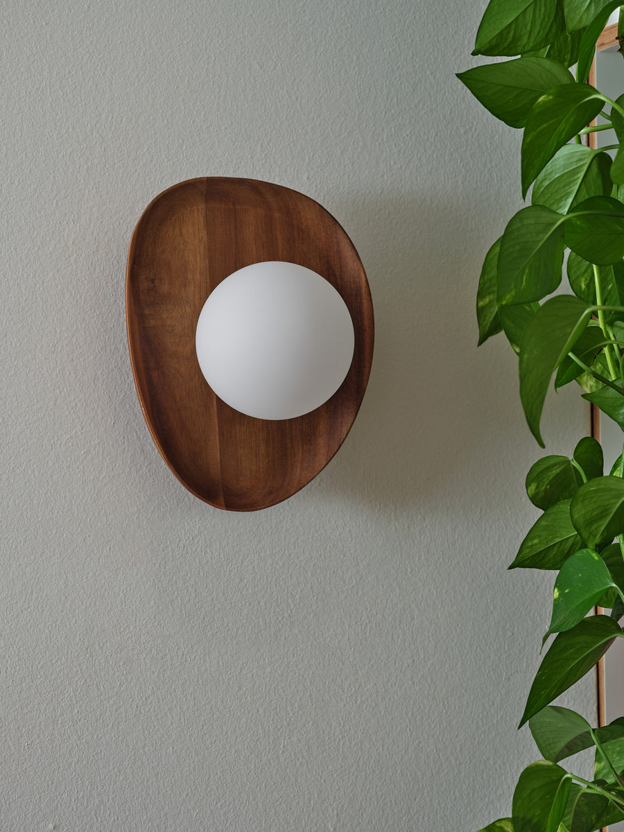 Détail du luminaire mural en bois éteint, fixé sur un mur gris près d'une plante.