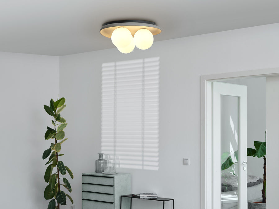 Plafonnier allumé fixé au plafond dans un salon blanc avec plante verte.