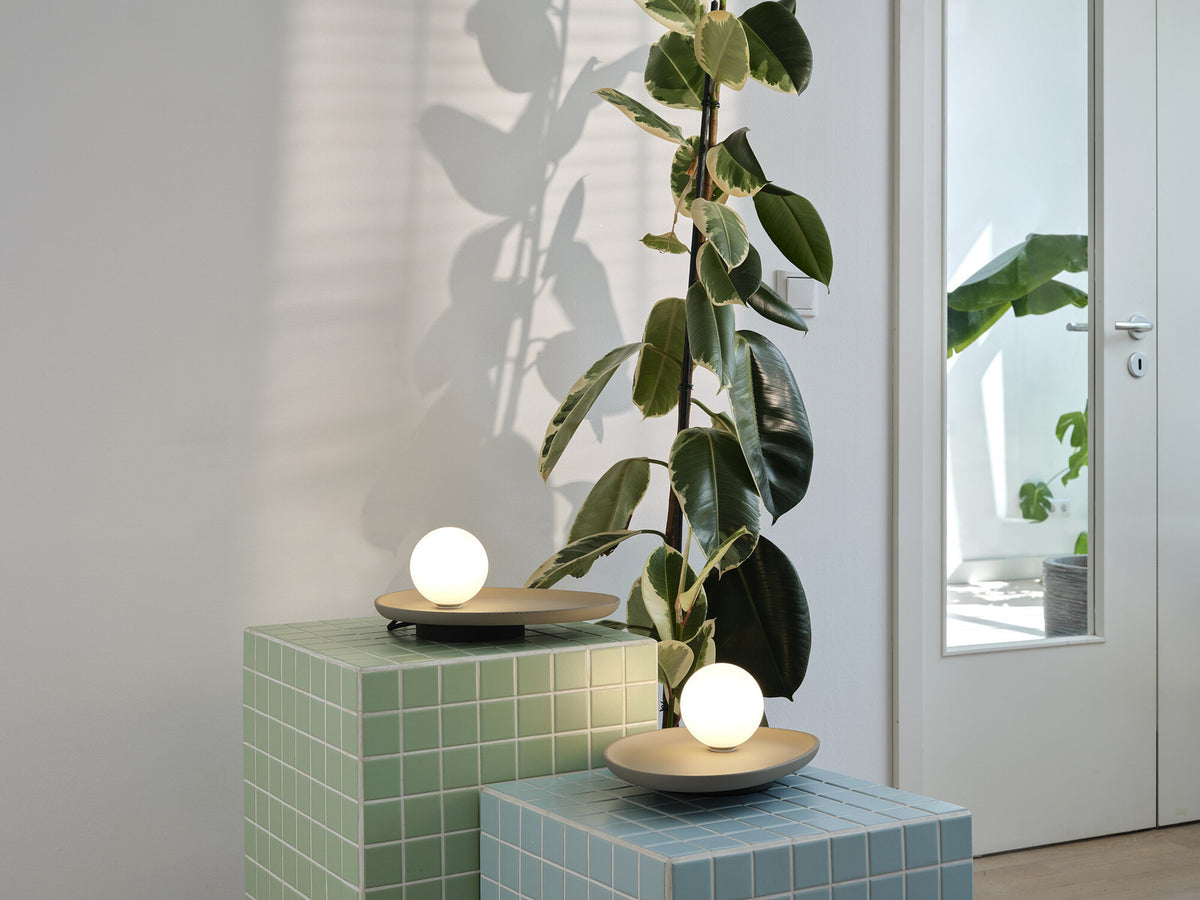 Deux lampes à poser allumées sur cubes carrelés verts, près d'une grande plante.