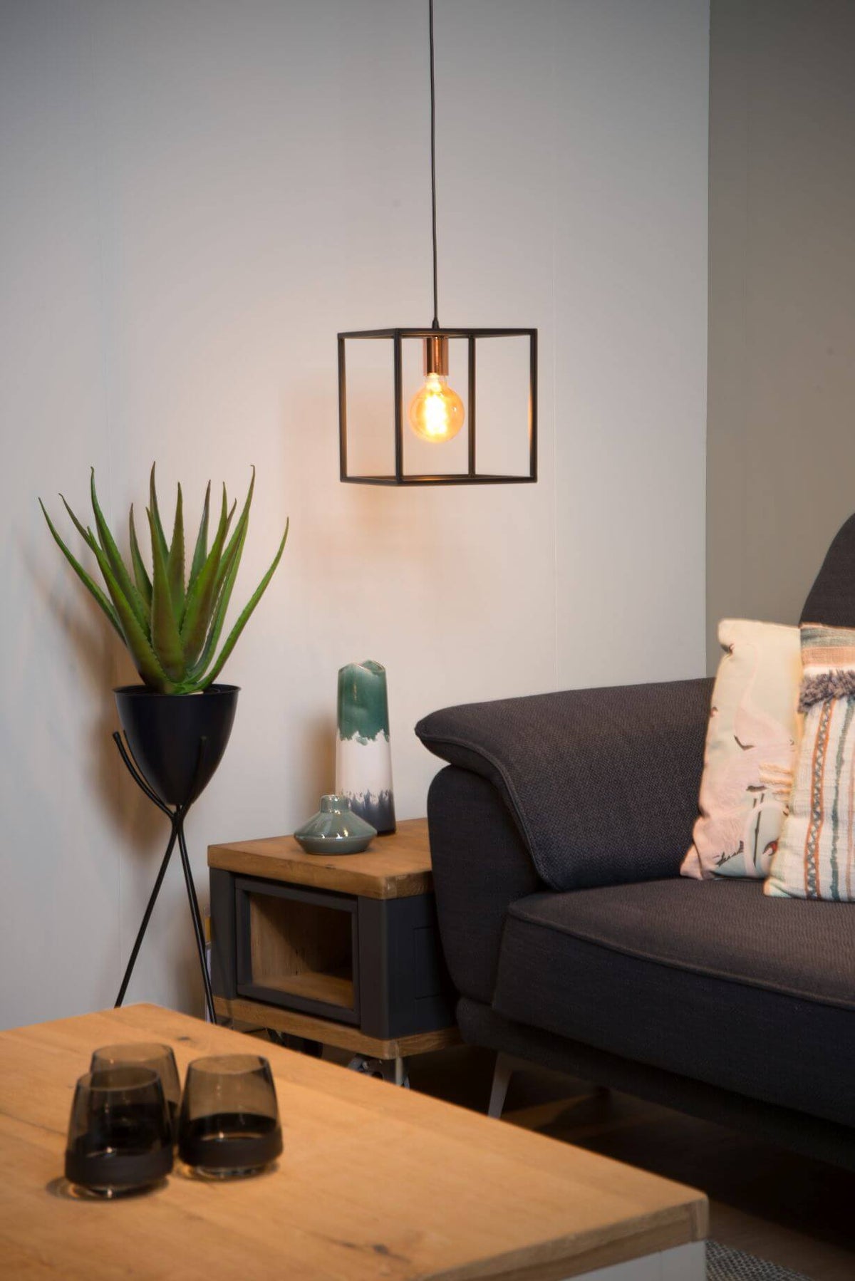 Suspension allumée au-dessus d'une table basse avec plante grasse et canapé gris