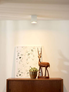 Luminaire plafonnier | Valfenissa