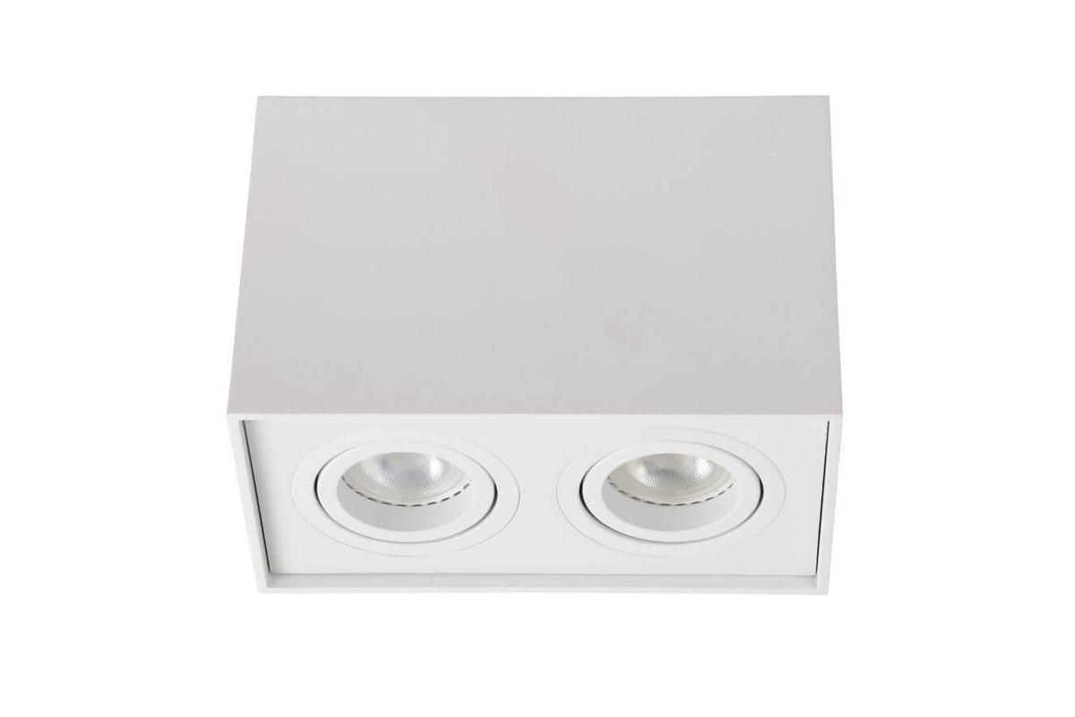 Plafonnier Tube 2 lumières blanc, L 18,5 cm