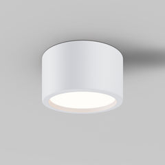 Hydra White Ceiling Light