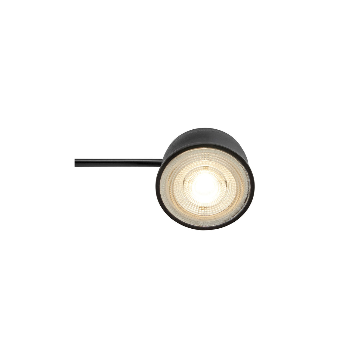 Module LED de rechange 230 V 4,9 W à variateur 3 positions