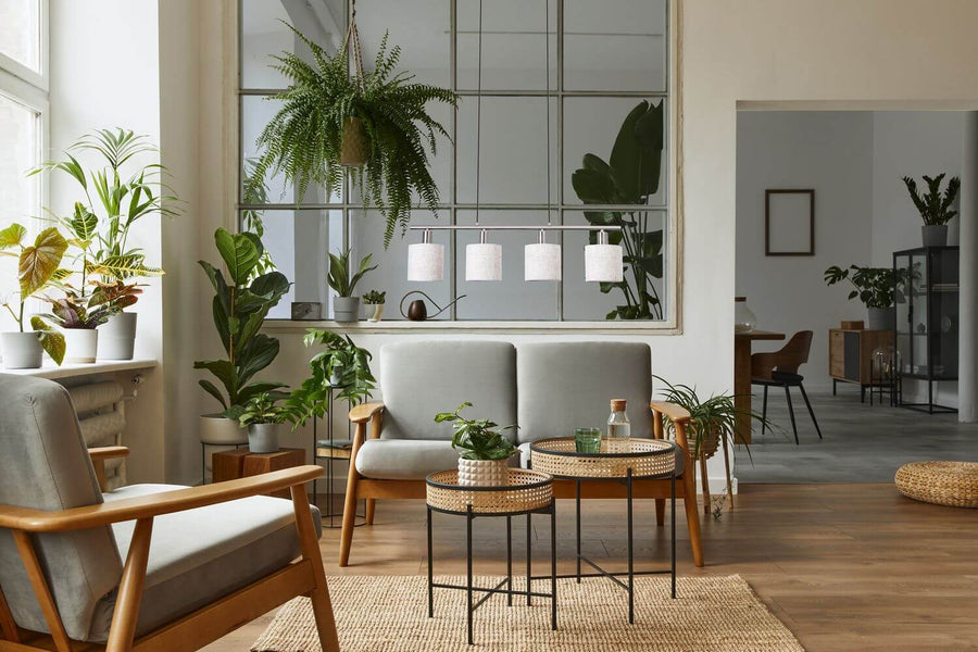 Vue d'ensemble du salon : suspension à quatre abat-jours éclairant un intérieur lumineux rempli de plantes.
