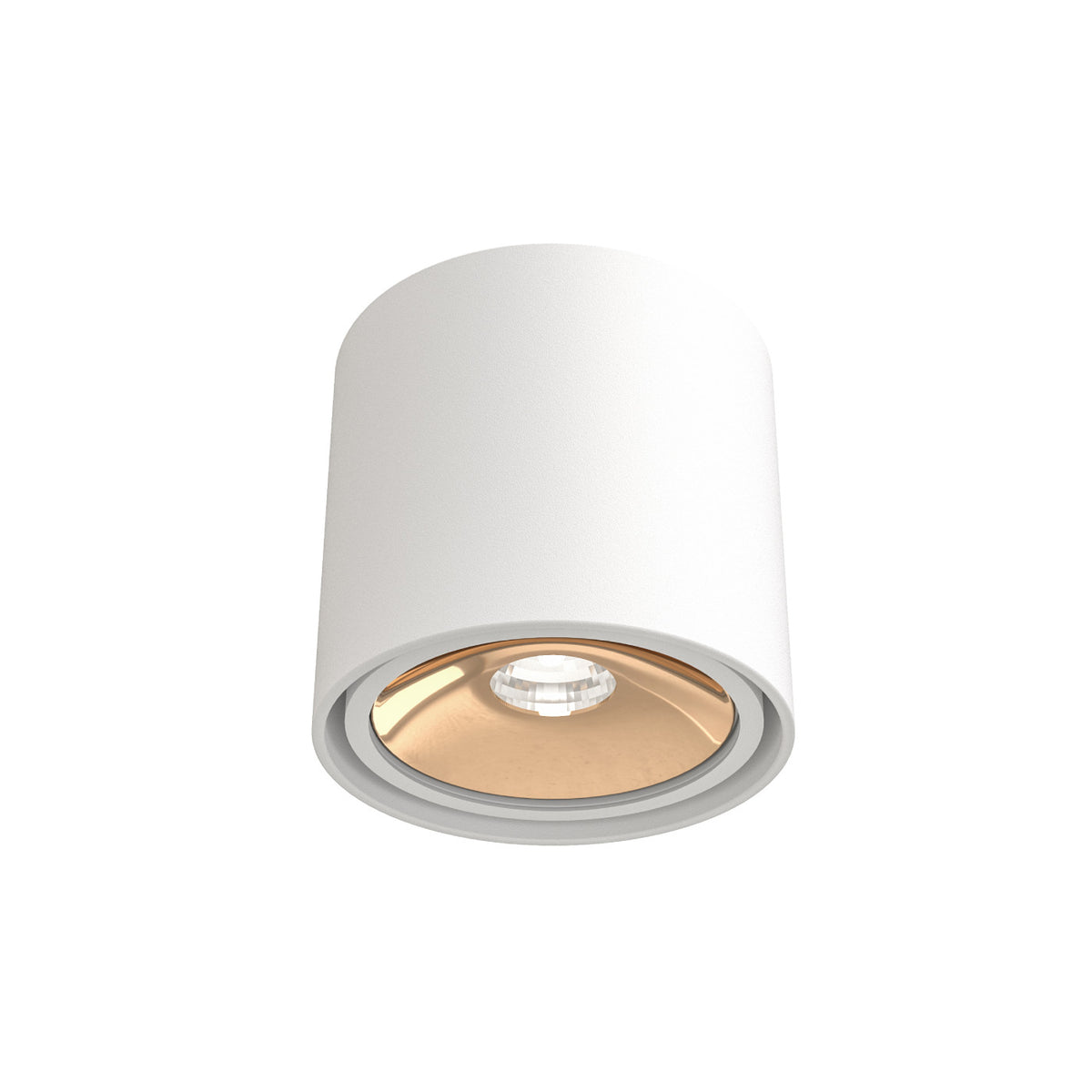 Spot plafond Neo orientable, 8 W