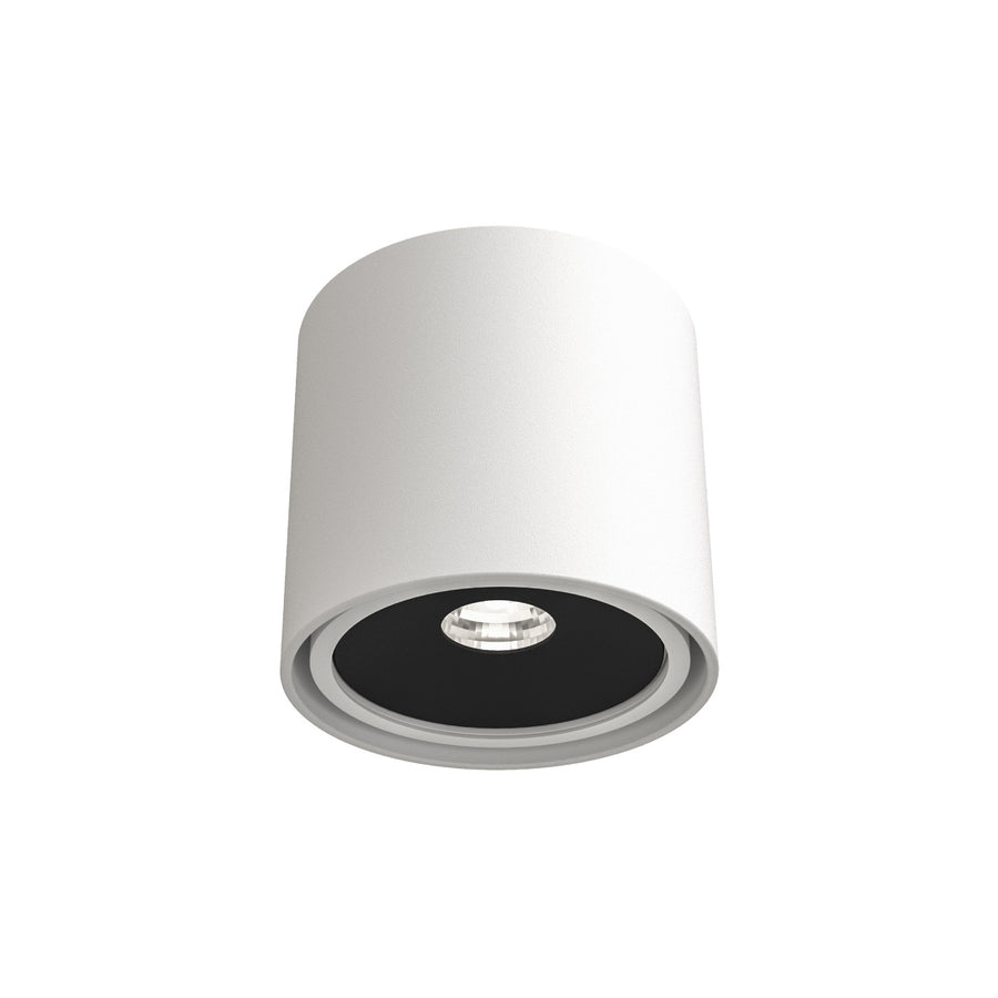 Spot plafond Neo orientable, 8 W