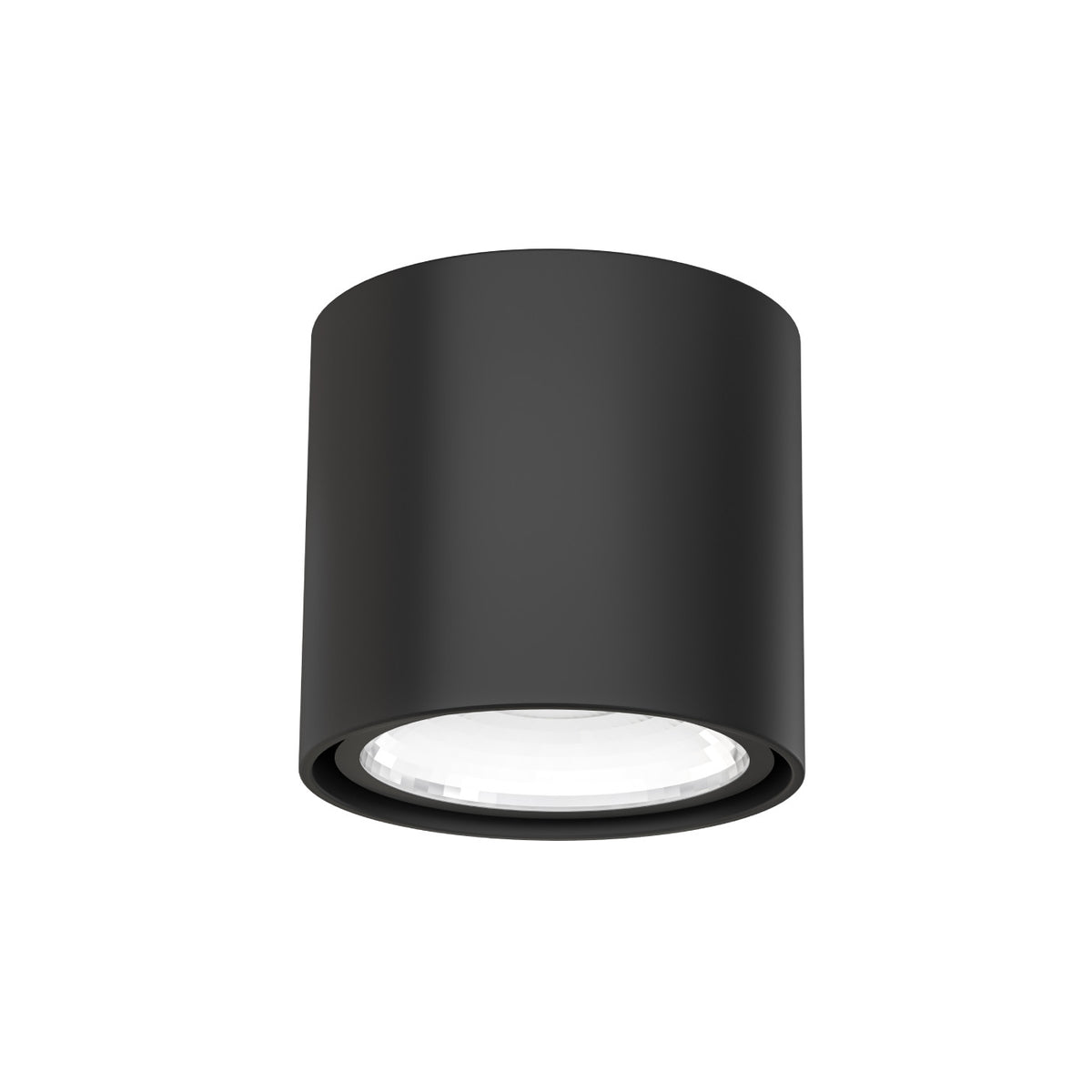 Spot plafond Neo orientable, 16 W