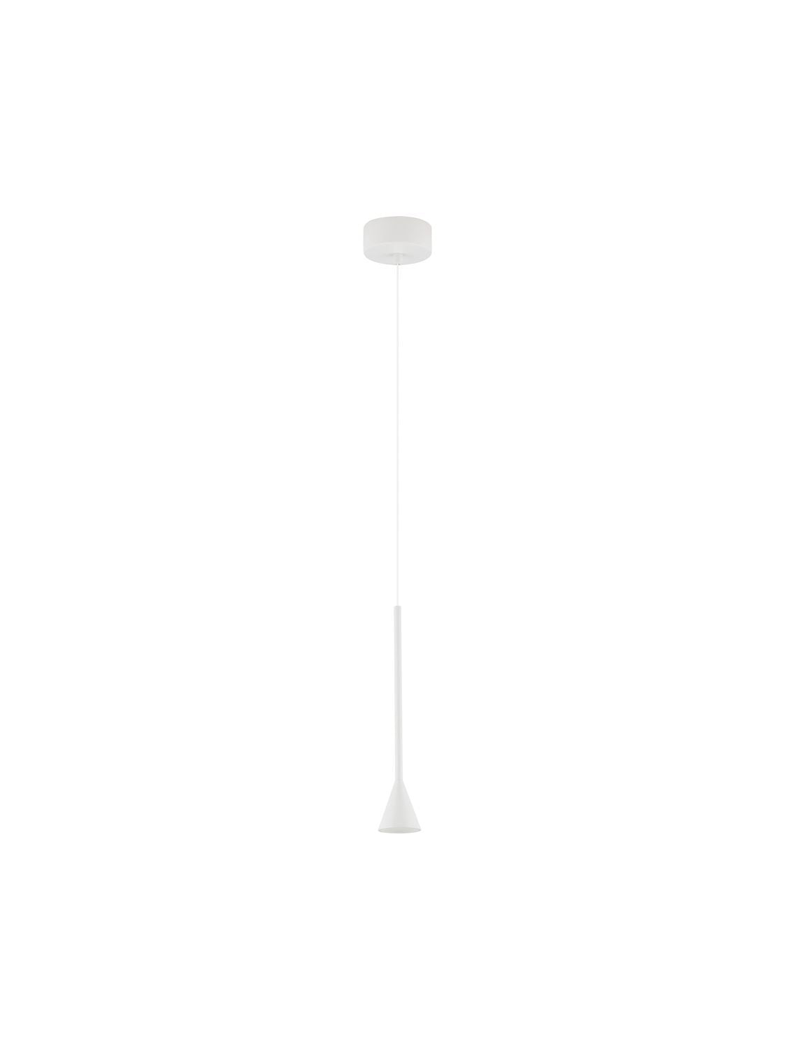Vue de face du luminaire entier sur fond blanc, câble et rosace