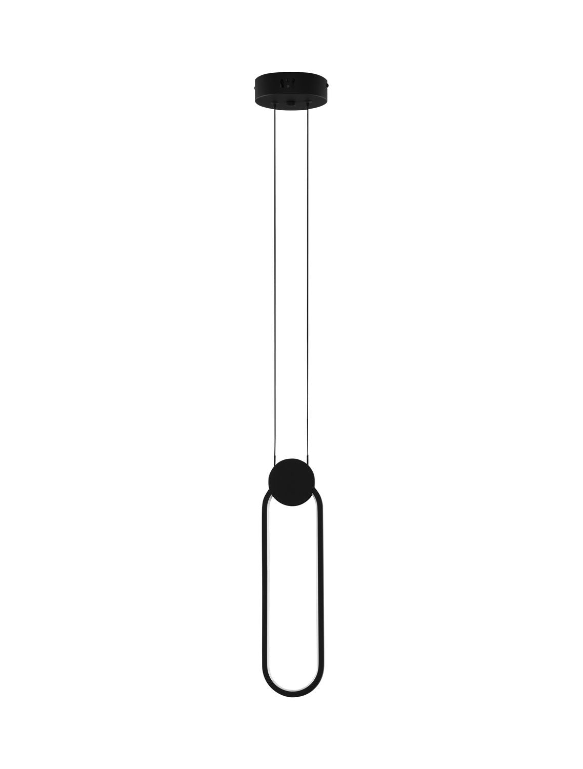 Vue de face du luminaire suspendu noir, anneau ovale sur fond blanc