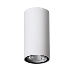Plafonnier extérieur Ceci blanc, verre (9220021)