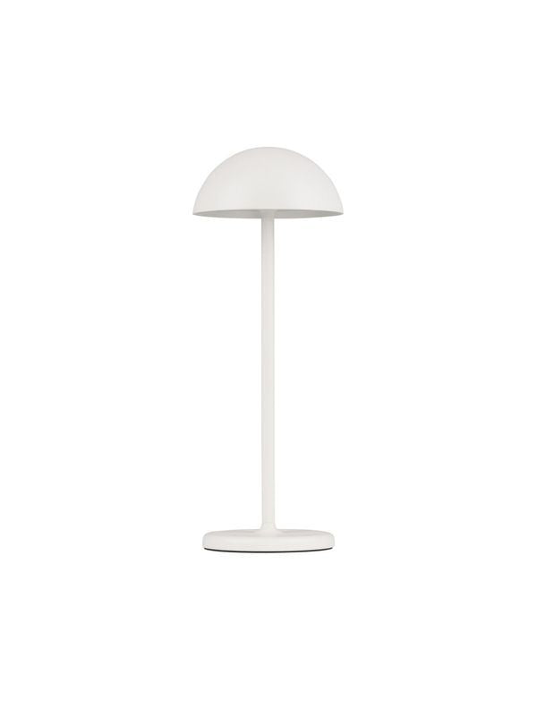 Lampe extérieure Rose blanche