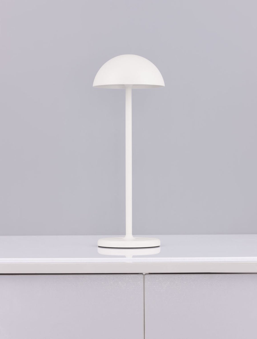 Lampe extérieure Rose blanche
