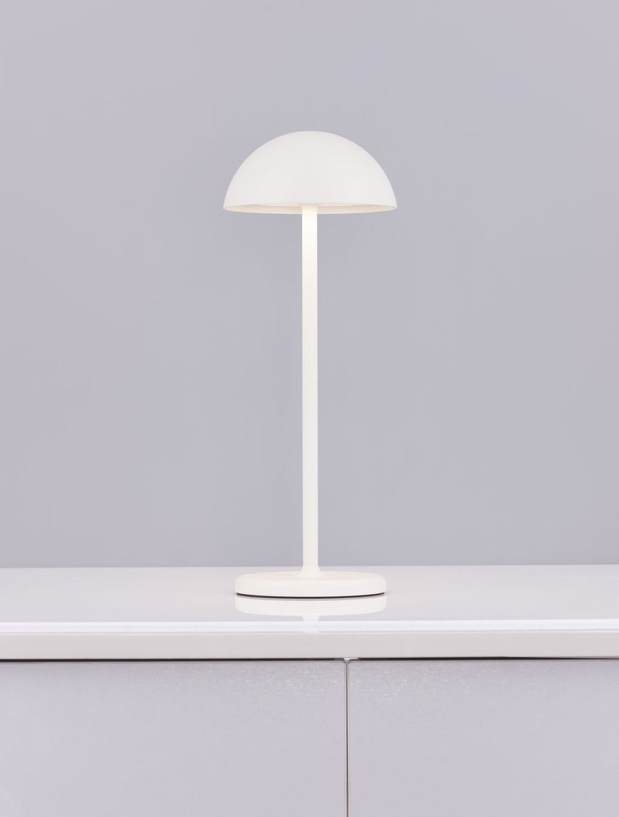 Lampe extérieure Rose blanche