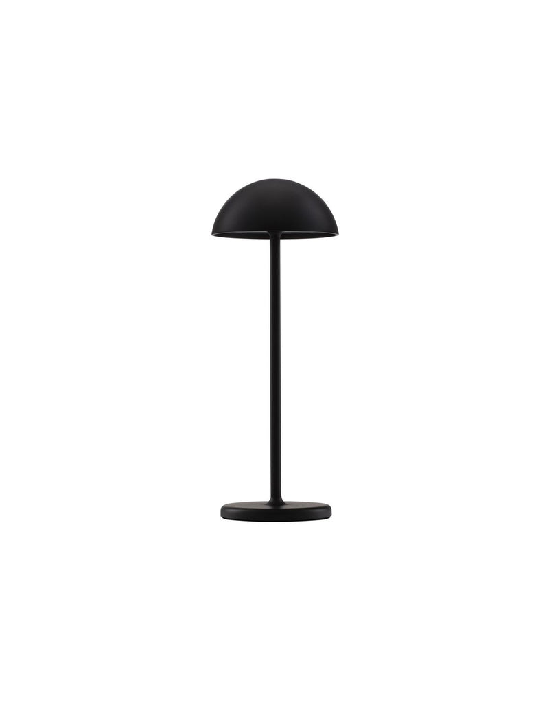 Lampe extérieure Rose noire