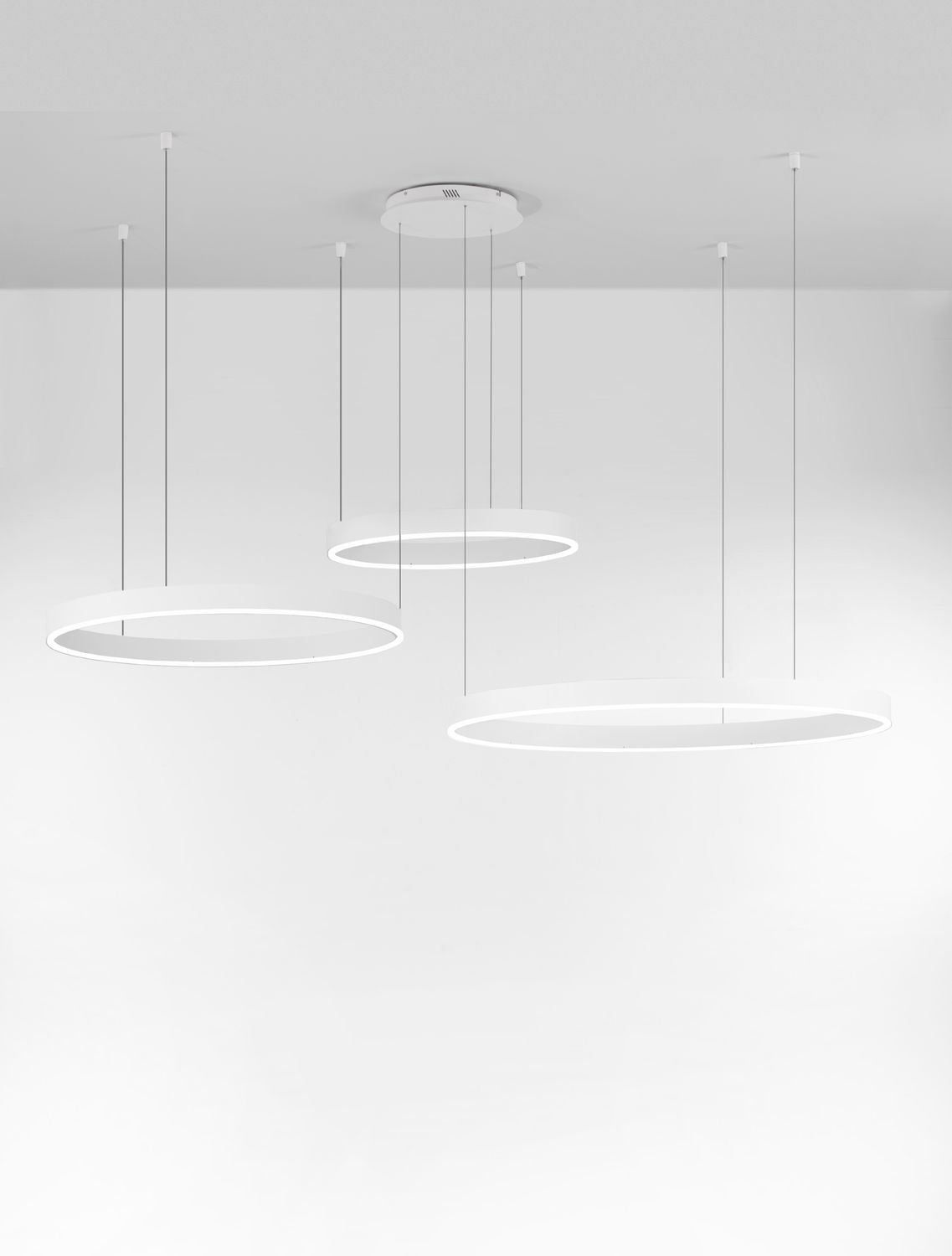 Suspension Motif blanche, H 250 cm (9530180)