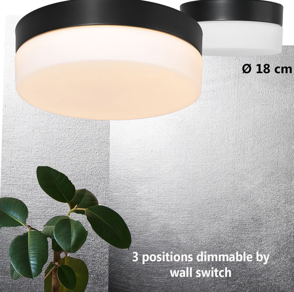 Mise en ambiance du plafonnier allumé près d'une plante, diamètre 18 cm